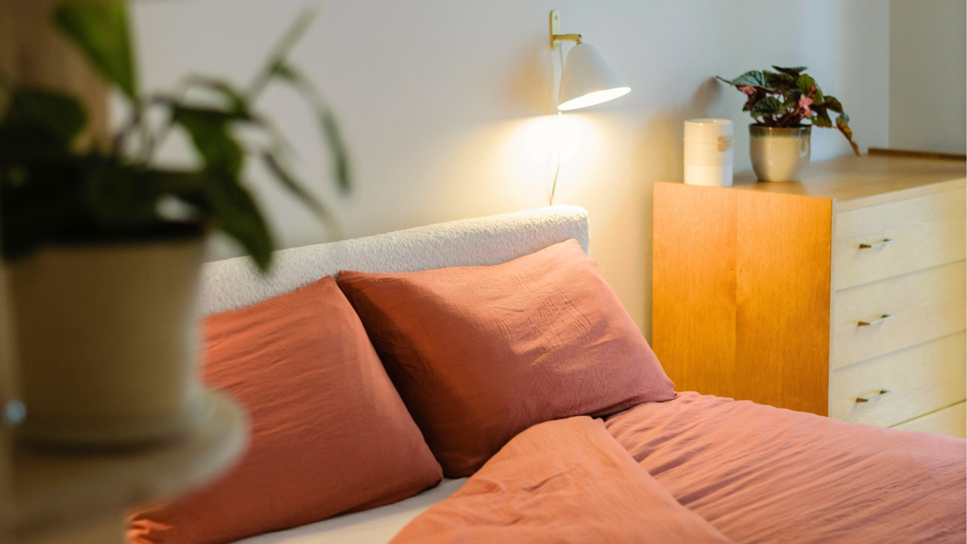 Lit coffre derrière une plante décorative.