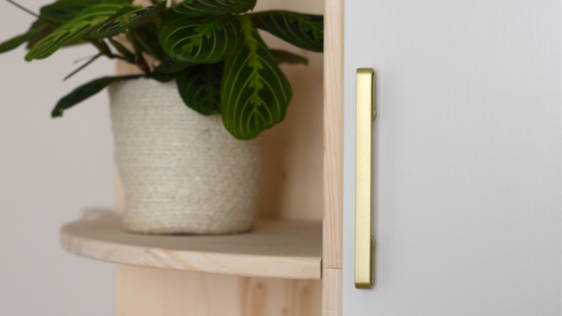 Détail des étagères décoratives, plante et poignée du dressing sur mesure.