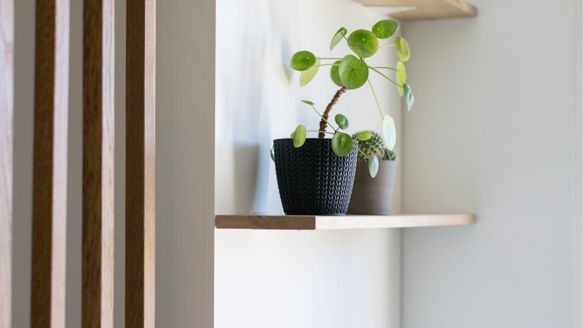 Gros plan sur les étagères ouvertes d’un meuble d’entrée sur mesure, mises en valeur avec une plante et des objets décoratifs.